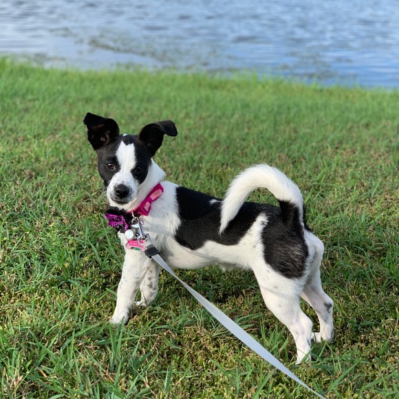 Meet your Posher, Jami - Picture 7 of 7